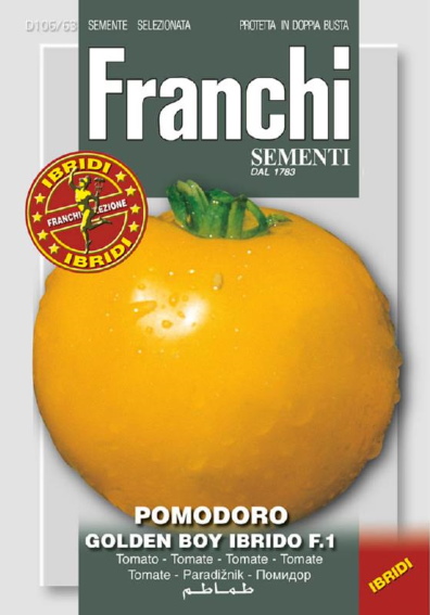Tomato Golden Boy F1 (Solanum) 50 seeds